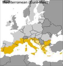 Mediterranean (Euro-Med)