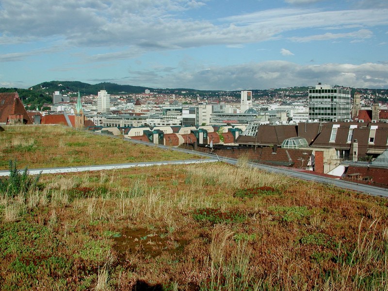Stuttgart zelené střechy