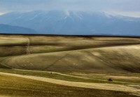 Geförderte Dürreversicherung für Landwirte in Österreich