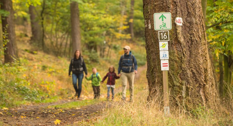 Spessart im Herbst