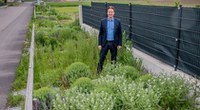 Umweltfreundliche Stadtplanung für eine dezentrale ökologische Regenwasserbewirtschaftung in Ober-Grafendorf, Niederösterreich