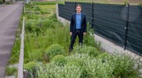 Umweltgerechte urbane Straßengestaltung für dezentrales ökologisches Regenwassermanagement in Ober-Grafendorf, Niederösterreich