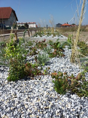 „Eco-Street“ (DrainGarden®) in der Gemeinde Ober-Grafendor