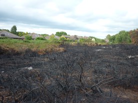 Brand im Juni 2011