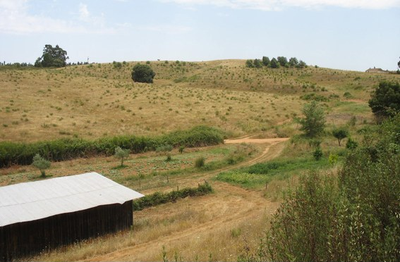 Südtal-Ernährungswald