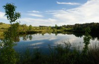 Wasserrückhaltelandschaft Tamera zur Wiederherstellung des Wasserkreislaufs und zur Verringerung der Anfälligkeit für Dürren