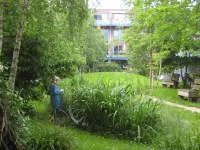 Vrijburcht: ein privat finanzierter, klimasicherer Kollektivgarten in Amsterdam