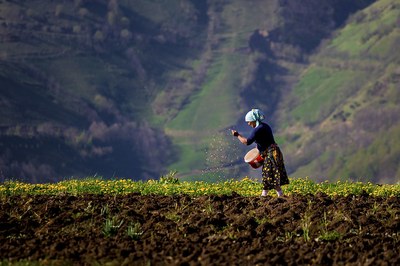 EU Adaptation Policy