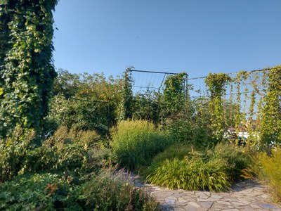 Nature-based Solutions