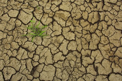 Making agriculture, energy and transport climate resilient: how much money is required and what will it deliver?