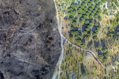 Climate Resilience in Europe