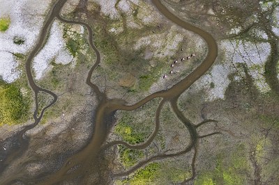 From adaptation planning to action