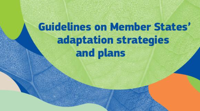 Guidelines on Member States' adaptation strategies and plans
