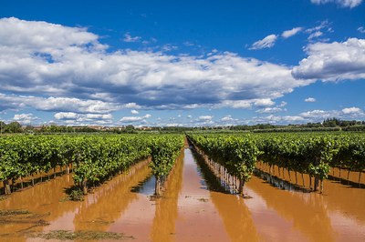 Preparing society for climate risks in Europe