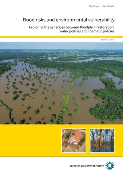Flood risks and environmental vulnerability. Exploring the synergies between floodplain restoration, water policies and thematic policies