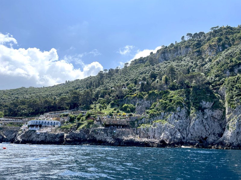 Vegetated coastal cliff, Capri Island, Italy