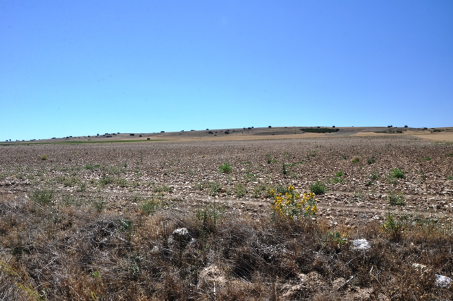 Land left fallow