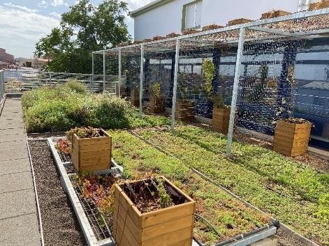 One of the green roofs implemented in the project (mBiGCUVE 2 prototype)