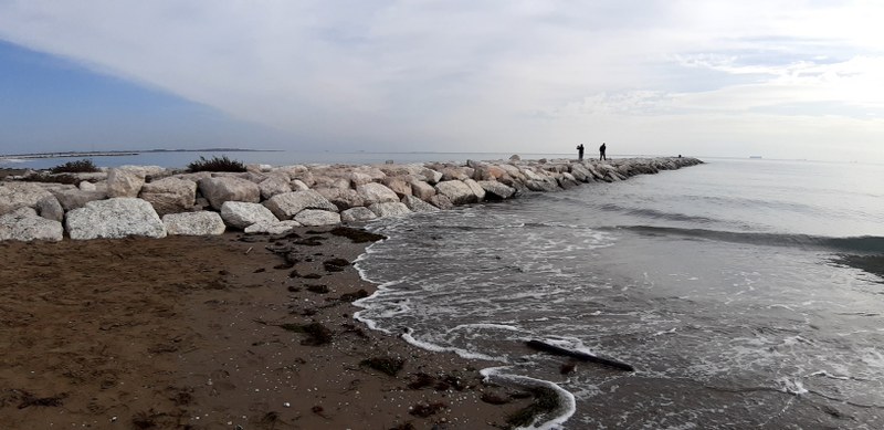 Groynes at Lido di Venezia, Italy