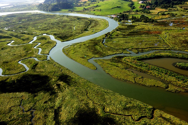 Urdaibai Estuary