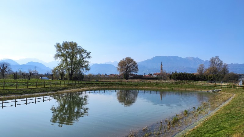 Detention basin after its construction in the agricultural area of Giavenale, Italy
