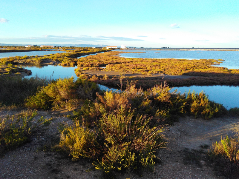 Tancada lagoon