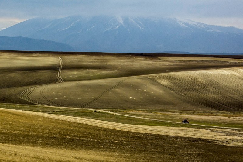 Agricultural drought fields