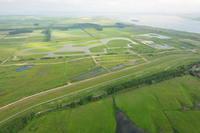A transboundary depoldered area for flood protection and nature: Hedwige and Prosper Polders