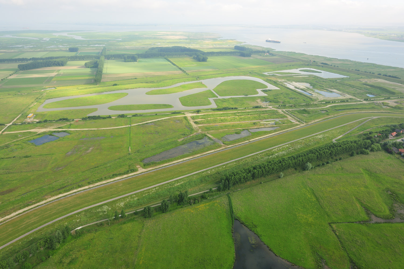 The Hedwige and Prosper polders
