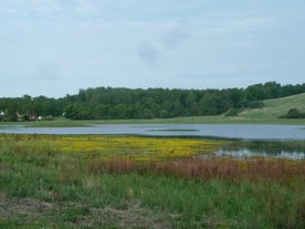 Börringe wetland (Grönalund village)