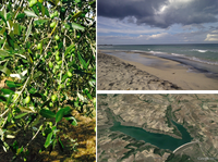 Adapting to climate change - Integrated water and coastal management in Puglia, Italy