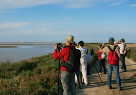 Nature observation excursionists