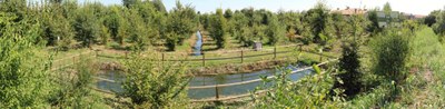 Sediment trap of Bosco Limite
