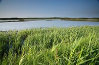 Coastal protection by managed realignment, Titchwell Marsh