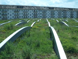 Green roof 1