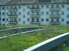 Green roof 2