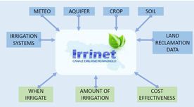 Input and output of the IRRINET system
