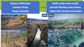 Torysa Floodplain Restoration and Erosion Prevention