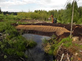 Dam construction in the Seemoos bog
