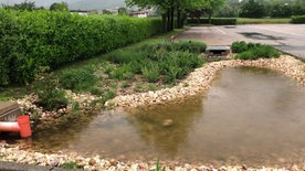 The rain garden located in the Santorso municipality after its construction