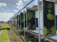 Nature-Based Solutions in schools: a green way to adapt buildings to climate change in Solana de los Barros, Extremadura (Spain)