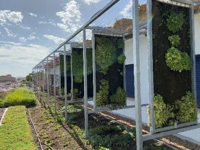 Nature-based solutions in schools: a green way to adapt buildings to climate change