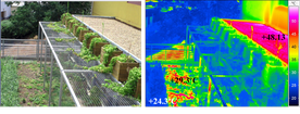 Temperature monitoring of green roofs