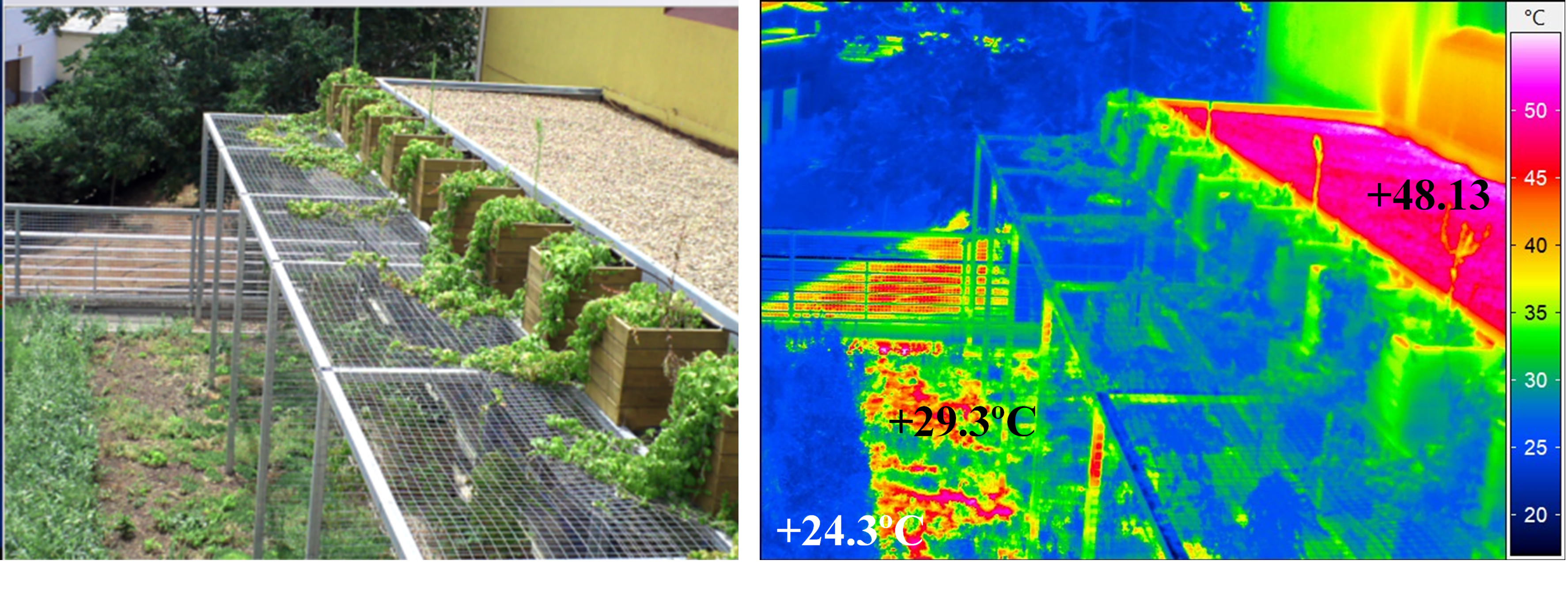 Temperature monitoring of green roofs