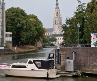 Online monitoring and early warning system for bacterial contamination in public surface waters