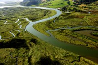 Restoration of the Oka River’s upper estuary, part of the Urdaibai Biosphere Reserve