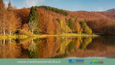 Sustainability credits for promoting sustainable forestry in the Tuscan-Emilian Apennines, Italy
