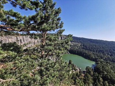 Sustainable adaptation of forestry in the province of Soria, Spain