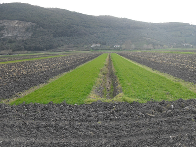 Integrated nature-based solutions in the Serchio River Basin, Italy