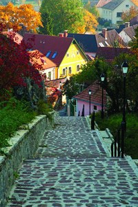 Urban Adaptation in Two Hungarian Municipalities: city of Veszprem and XIII District of Budapest